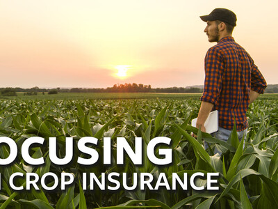 Crop Insurance Pt 2