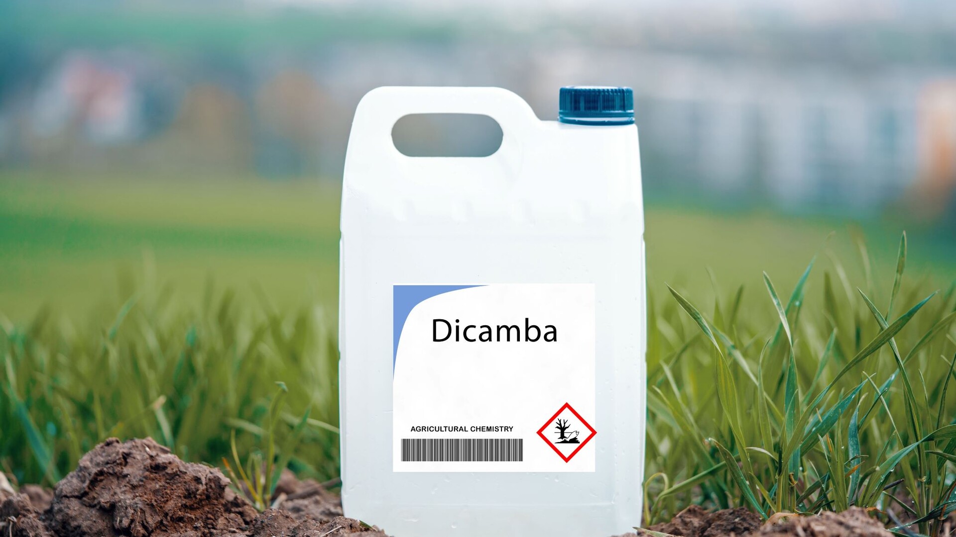 Is the Dicamba Decision Based on Science or Approval Procedure Error?