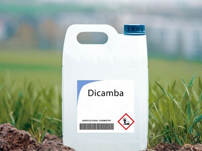 Dicamba Decision; Based on Science or Approval Procedure Error