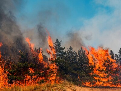 USDA Directs Money to Wildfire Mitigation in High Risk Areas