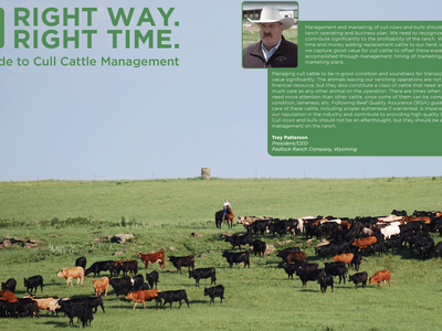 New Resource Helps Cattle Producers Maximize Profitability