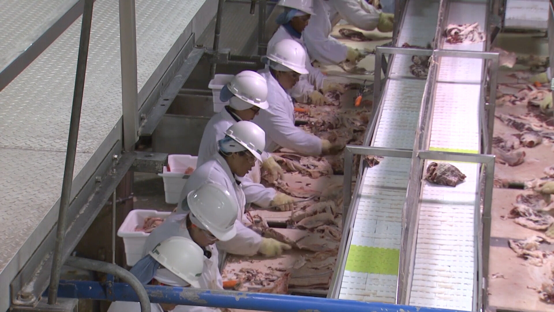 NFU Welcomes Third Proposed Packers and Stockyards Act Rule to Promote Fair Markets