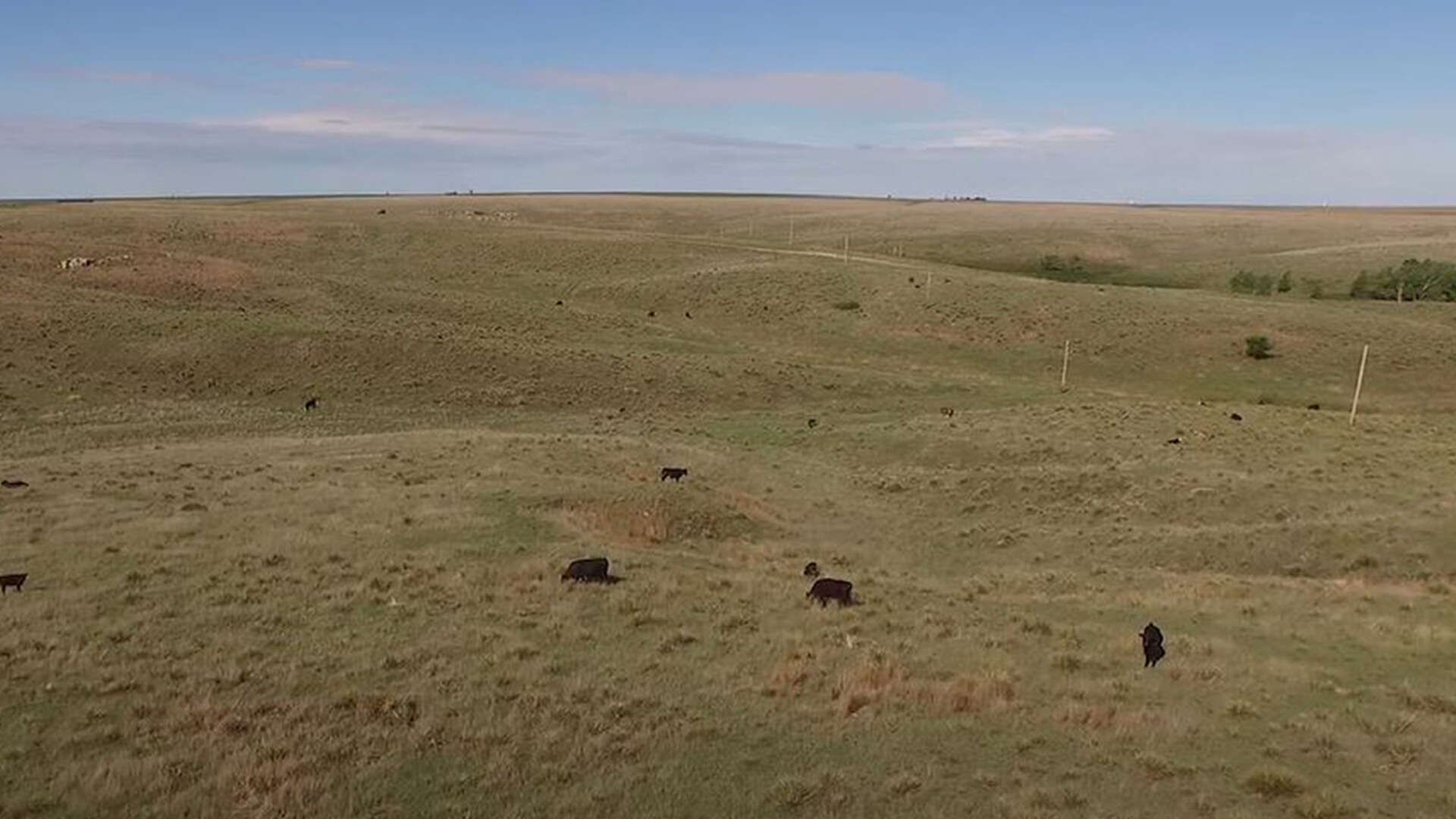 Sign-Up Open for Grassland Conservation Reserve Program