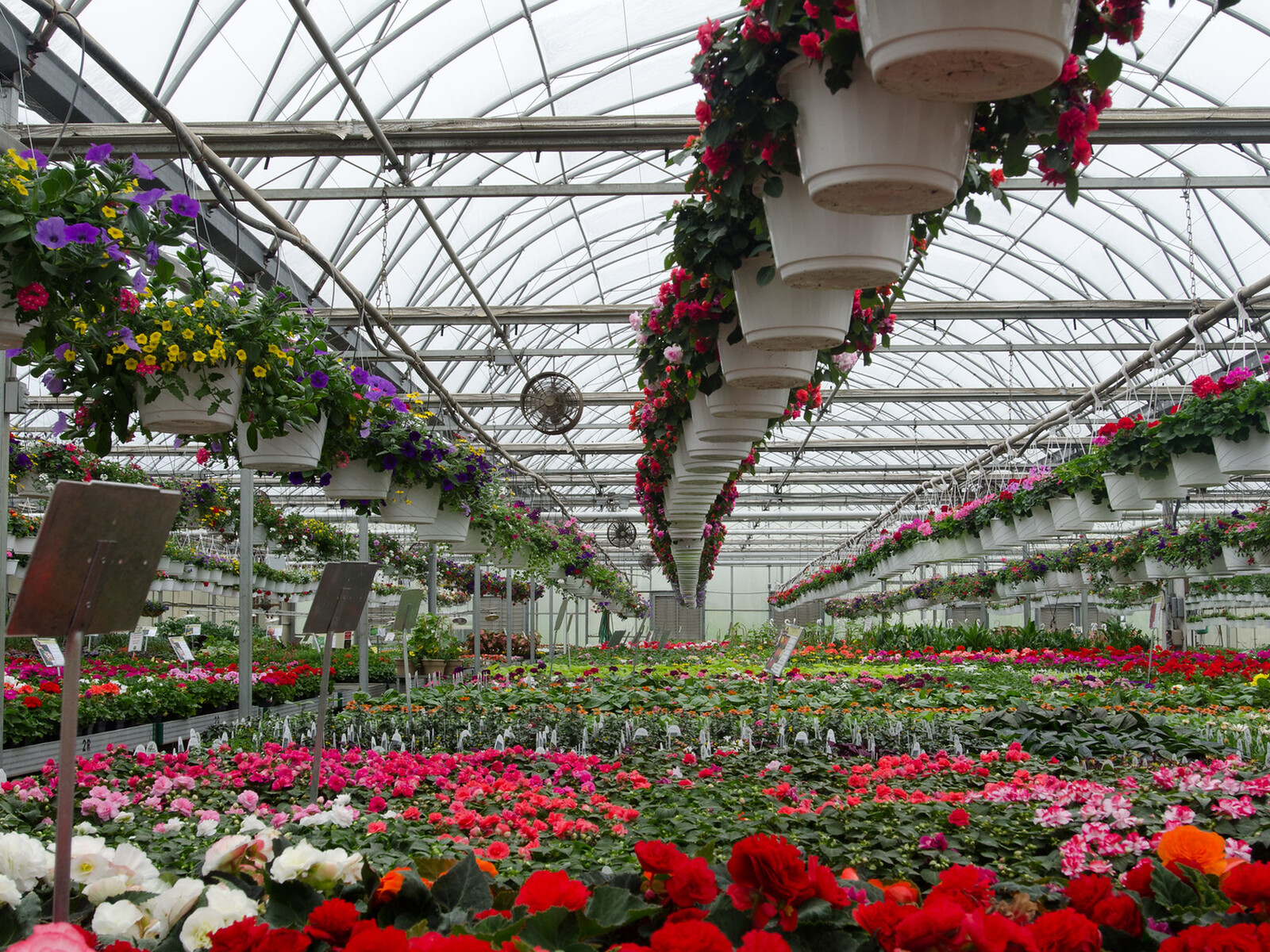 USDA Hosting Final Workshop on Nursery Insurance Option