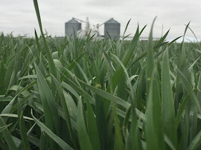 Farm Land Values Up Five Percent