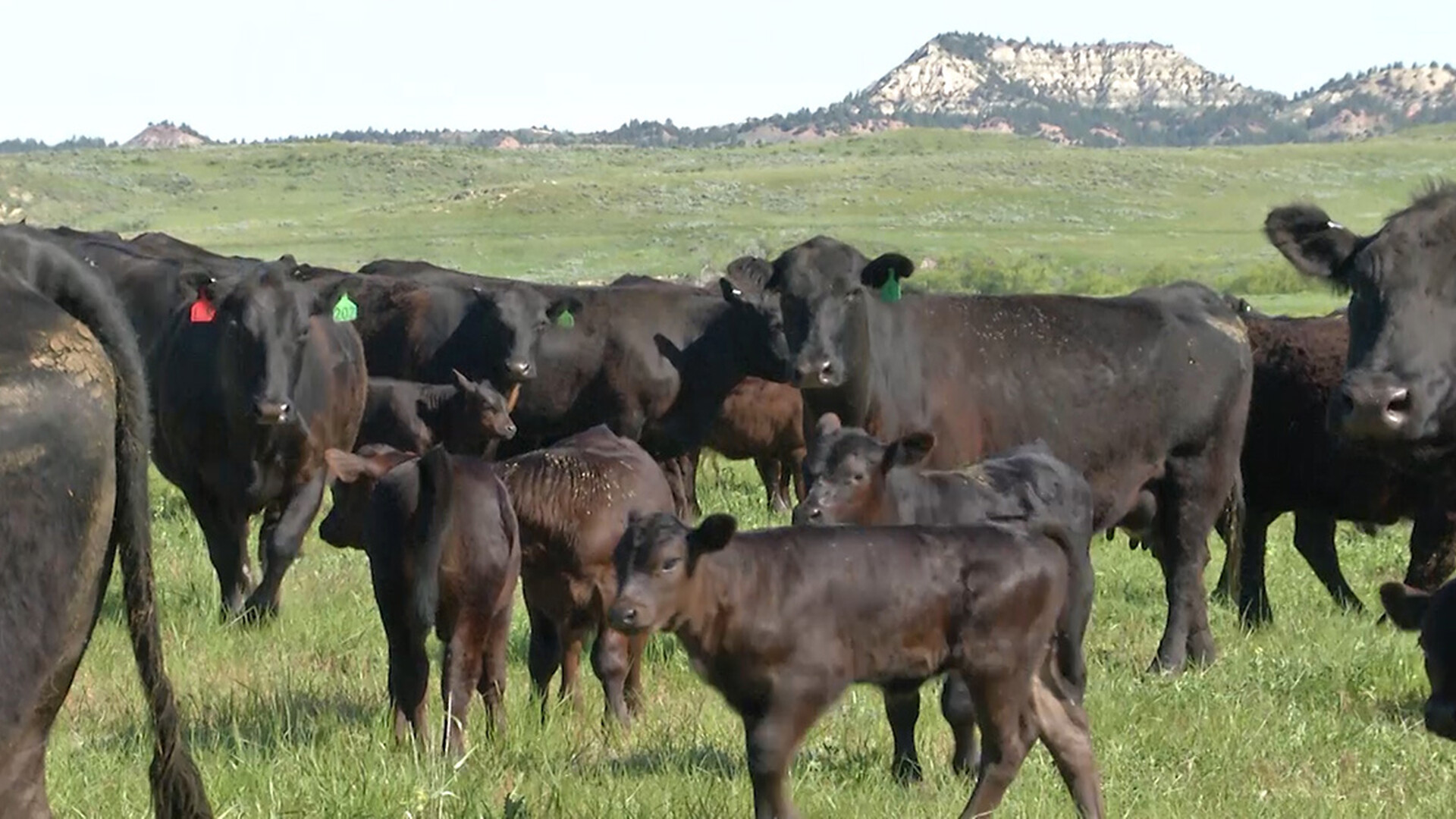 Nominations Open for Environmental Stewardship Program Awards