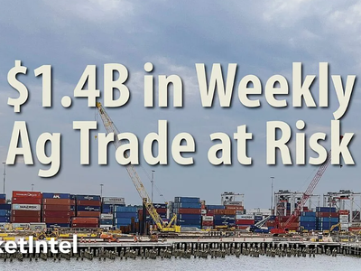 Dockworker Strike Highlights Importance of Food Independence