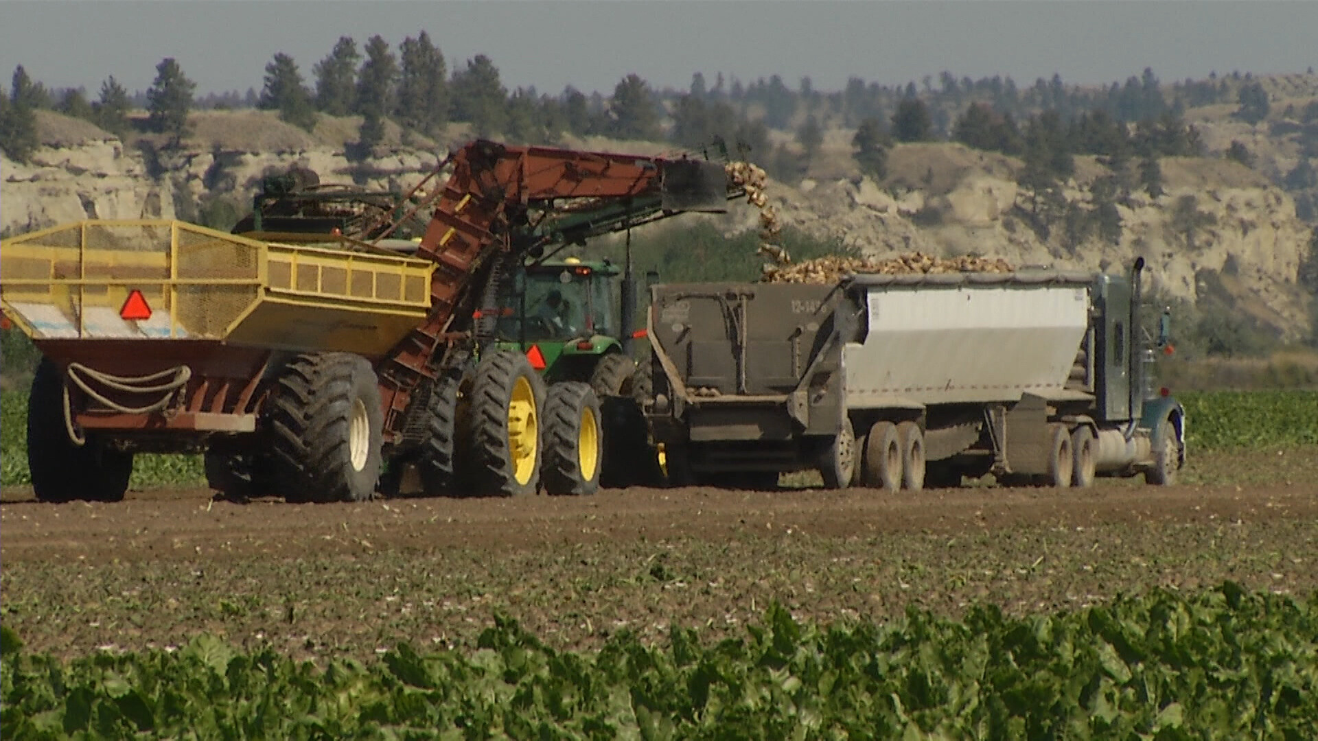 Sugar Producers Stress Importance of Farm Bill in 2024