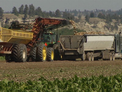 Sugar Producers Stress Importance of Farm Bill in 2024