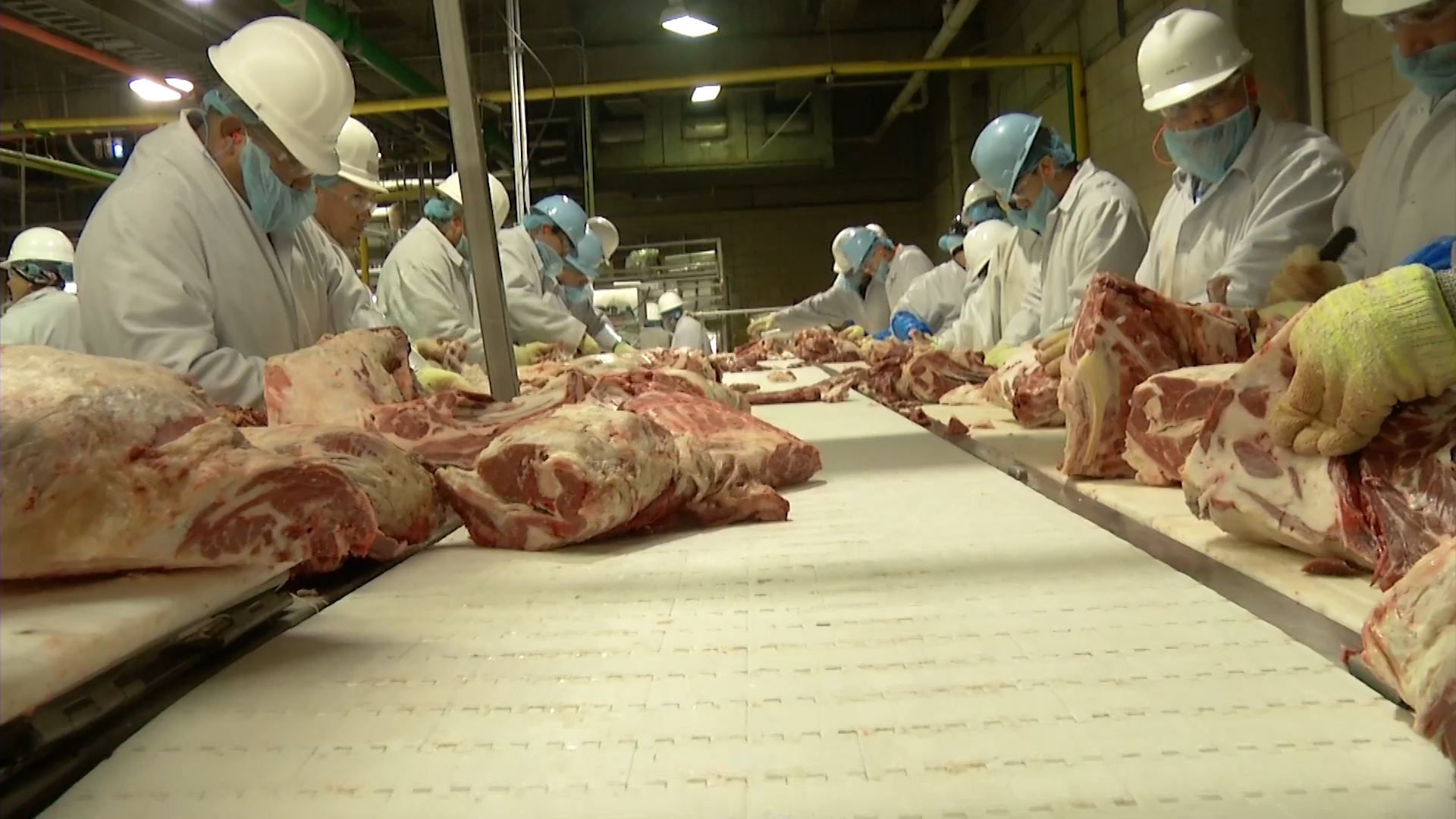 Opposition Grows On Denver Slaughterhouse Ban