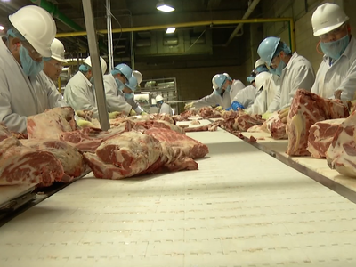 Opposition Grows On Denver Slaughterhouse Ban