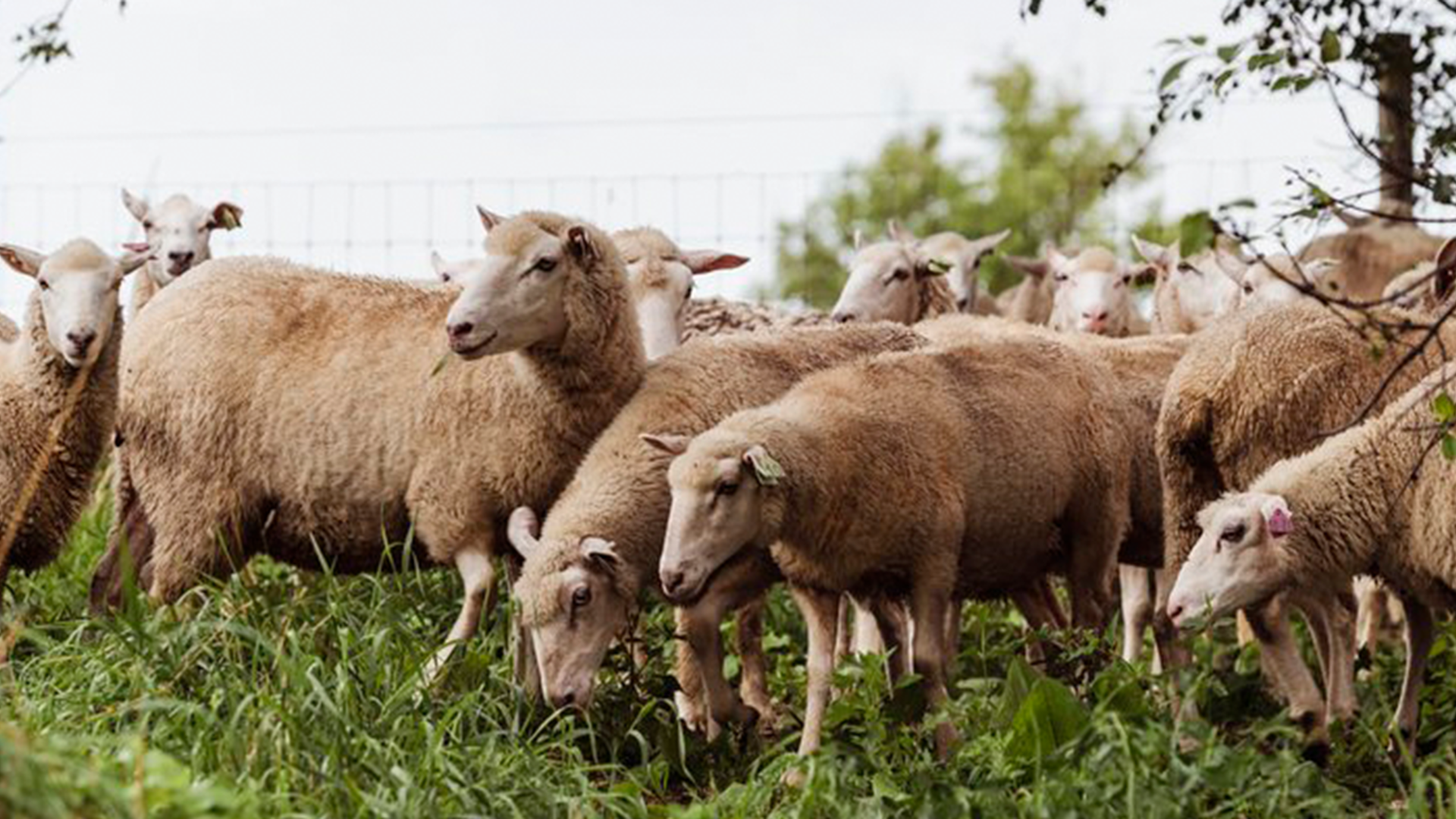 Still Time to Enroll in Climate-Smart Grant Producer Program