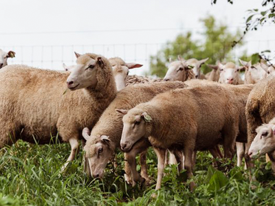 Still Time to Enroll in Climate-Smart Grant Producer Program