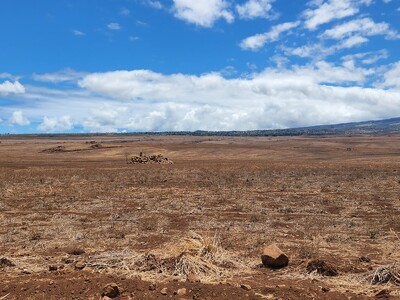 IRS Extends Relief to Producer Impacted by Drought