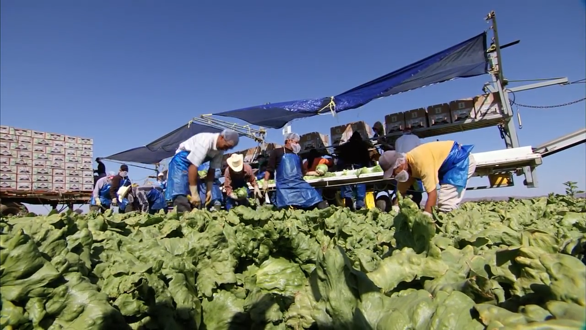 White House Hints Trump Farmworker Policy is Coming
