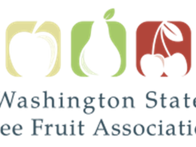 Washington Apple Varieties 2025 Pt 2
