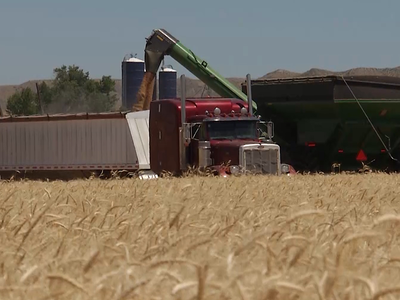 USDA Forecasts Higher Net Farm Income