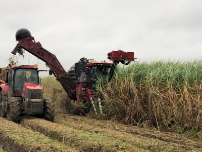 U.S. Continues Suspension Agreements on Mexican Sugar