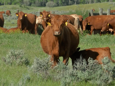 Grazing Expo 2025 Discusses Generations of Change in Grazing Management
