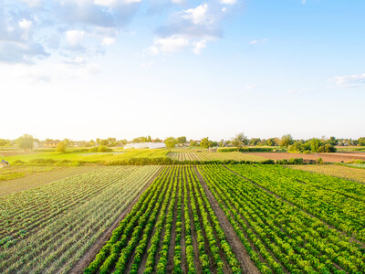 Pink Hat Farmer Promotes Ag