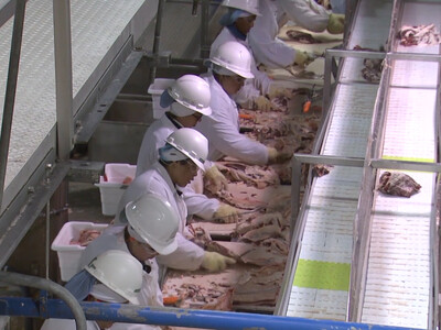EPA Withdraws Proposed Rule for More Stringent Water Pollution Guidelines at Slaughterhouses