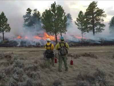 Departments of Interior and Agriculture Announce Wildland Fire Service Plan to Modernize Federal Wildfire Response