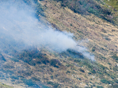 Wildfires and Grazing Permits