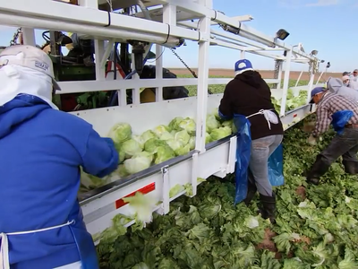 New Agriculture Wage Rate Rule Important Step in Reform