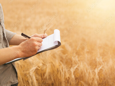 US Wheat Associates Compiling Key Report