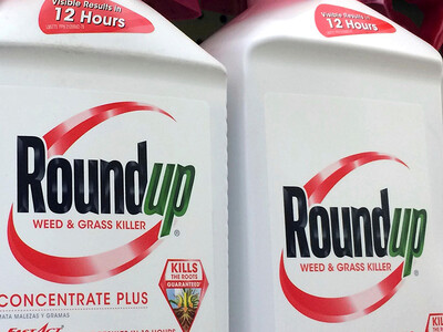 Bayer Must Pay Missouri Court Judgment
