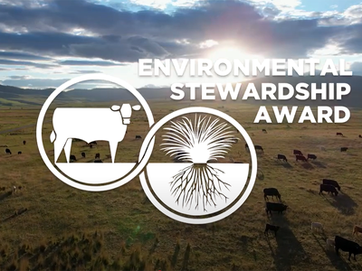 Nominate Your Neighbor for 2026 Environmental Stewardship Award