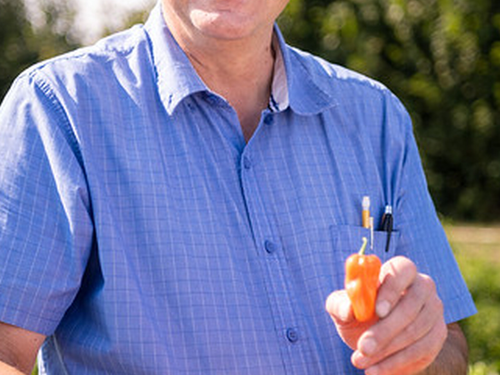Mild Peppers from OSU 1