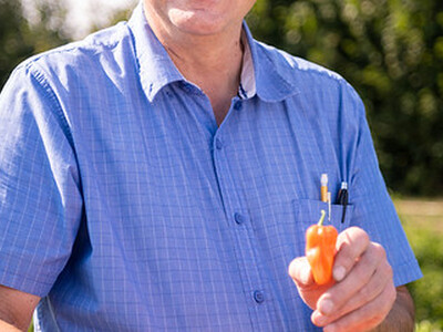 Mild Peppers from OSU 1