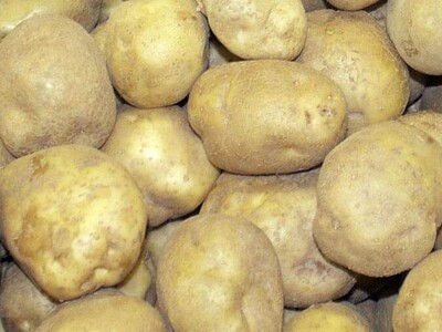 Dietary Update for Potatoes Pt 2