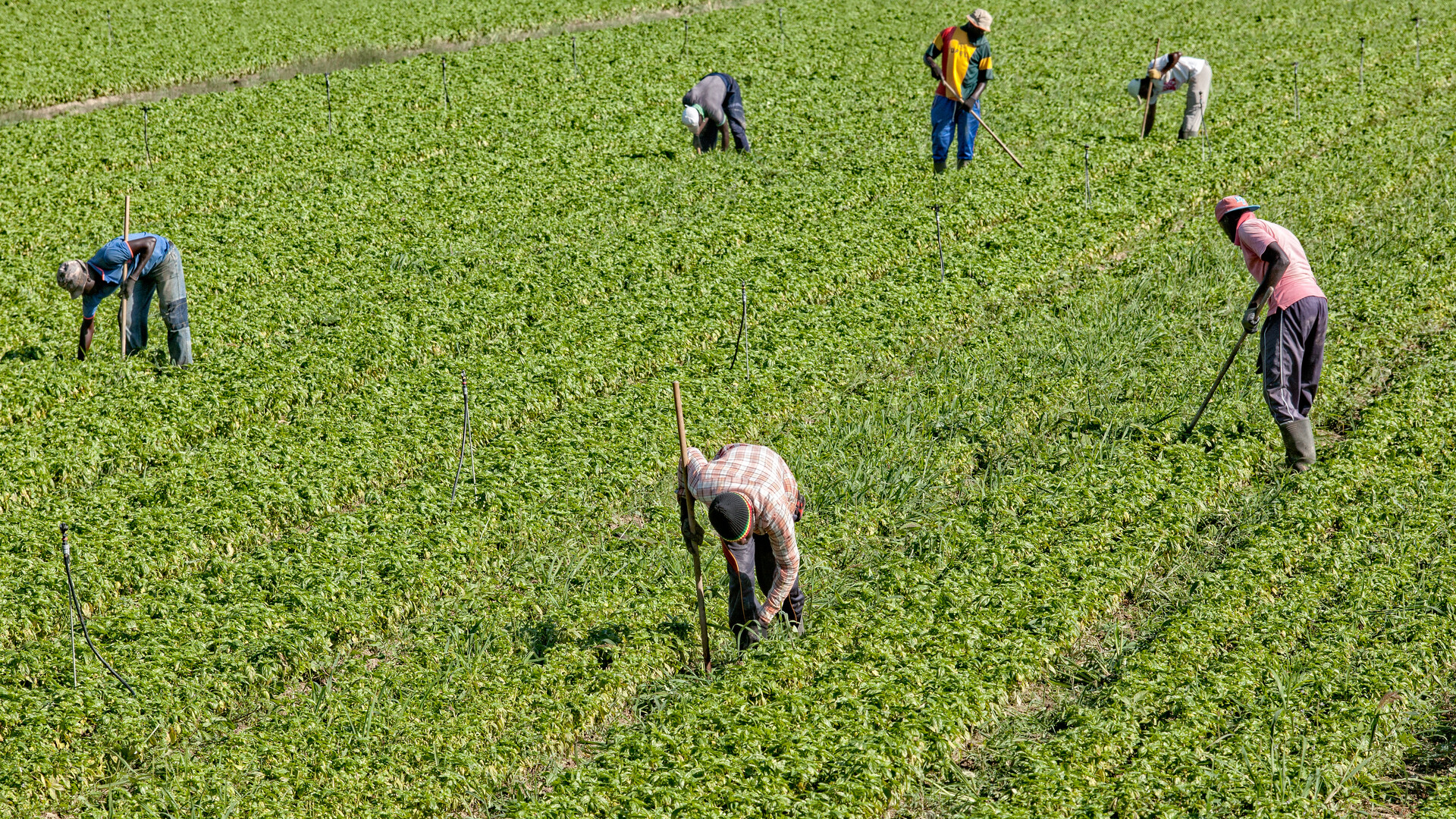 Changes in H2A Program