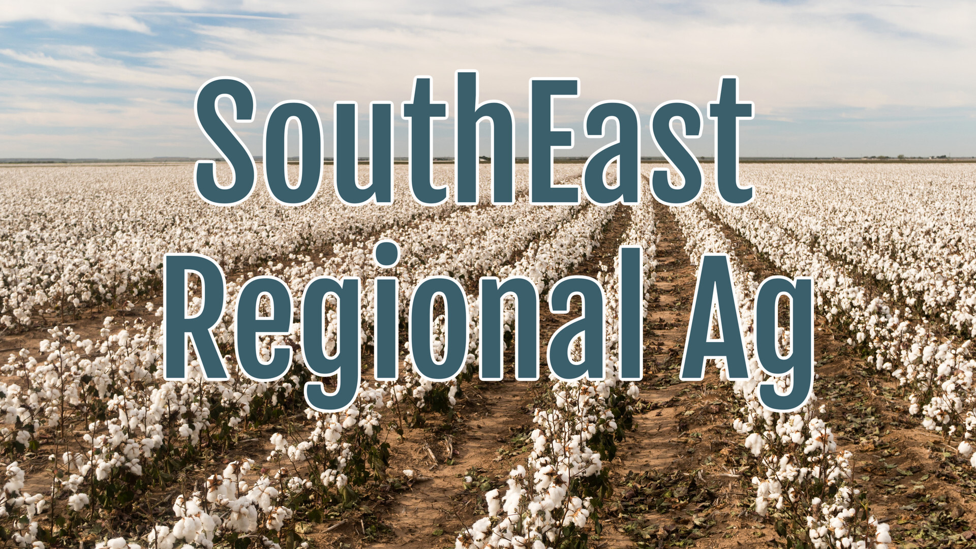 Cotton Industry Hopeful as Trump Talks Trade in Asia
