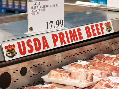 MCOOL Back in Conversations