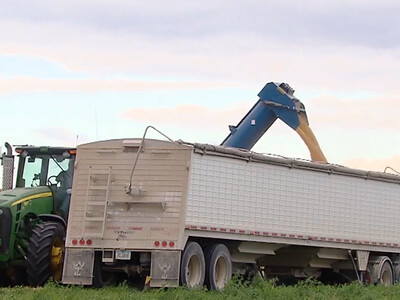 USDA's First WASDE Report Since September Yields Mixed Results