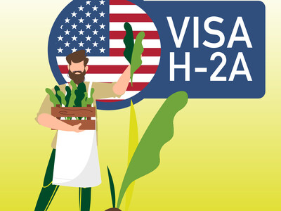 H-2A Myths 1