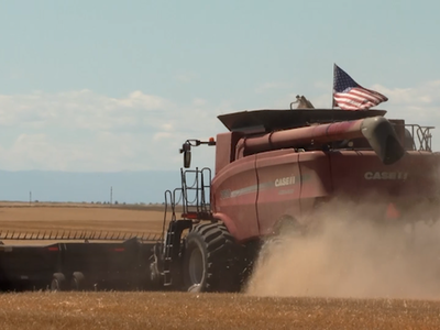 Wheat Farmers Encouraged by Latin America Trade Deals