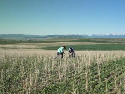 The Food and Agriculture Climate Alliance Welcomes New Regenerative Ag Program