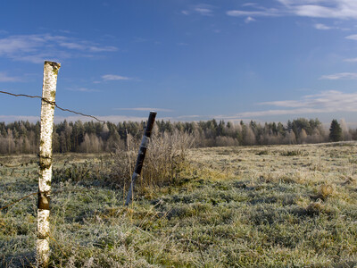 SPEED Act Needed for Efficient Conservation