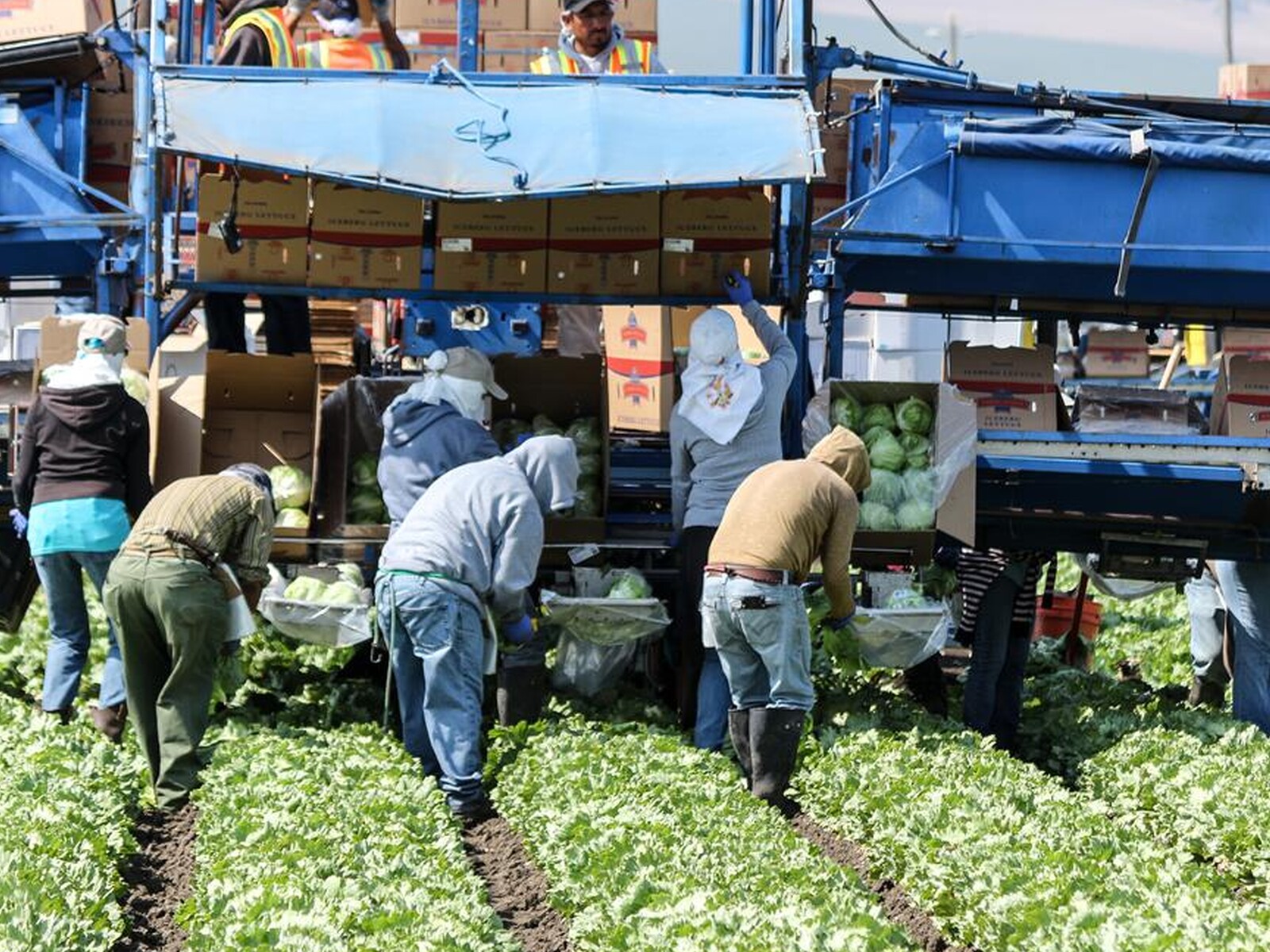 Farm Labor Reform Delay