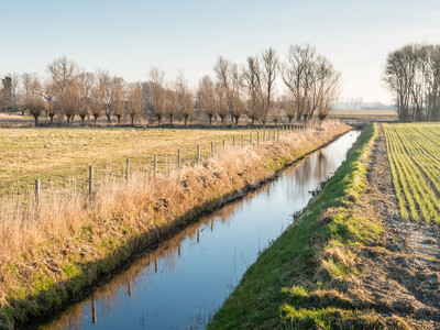 Part 2: AFBF on WOTUS
