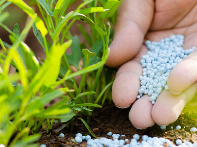 Farmers Pull Back on Phosphorus