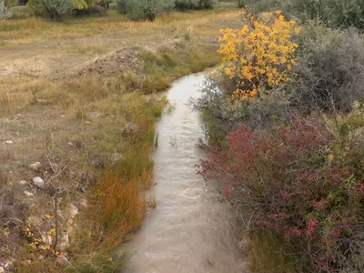 Proposed WOTUS Rule Brings Certainty to Farmers