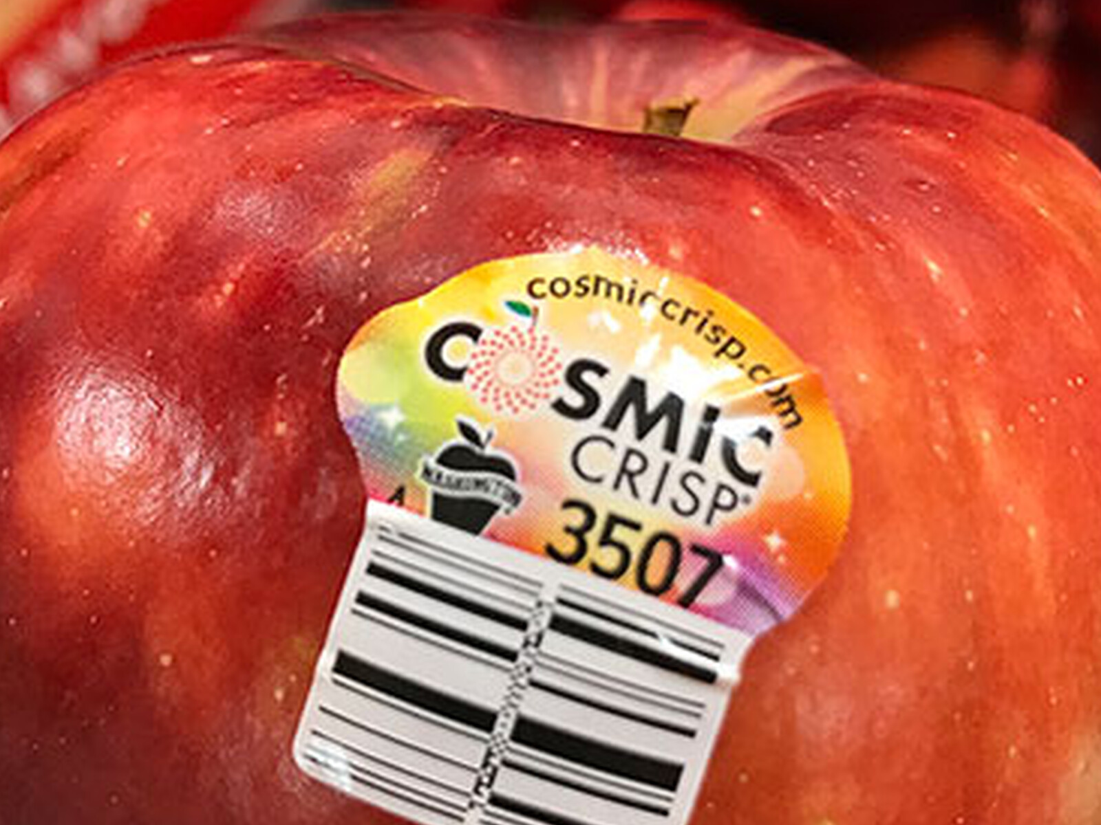 Washington Apple Logo Benefits