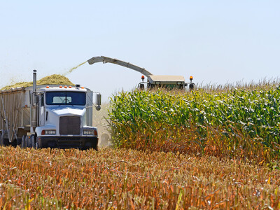 Sneaky Sileage Boosts USDA Corn Data Figures