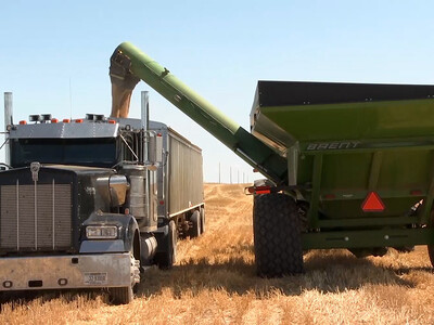 USDA Projects Lower Net Farm Income