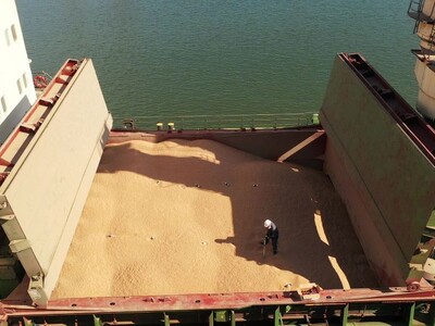 Tariffs Not Impacting US Wheat